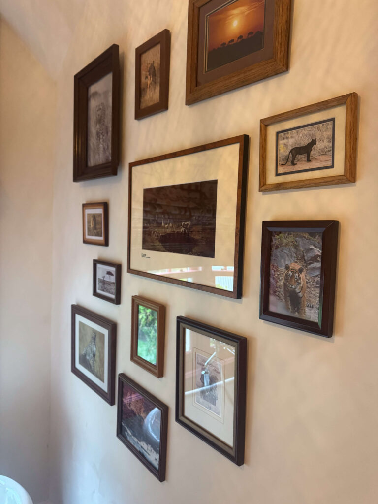 Gallery wall featuring safari photography and vintage-style frames, showcasing wildlife like tigers and elephants.